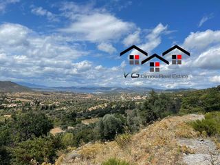 Αγροτεμάχια 7.599 τ.μ. για πώληση, Εύβοια, Στύρα-thumb-6