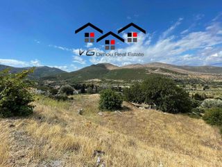 Αγροτεμάχια 7.599 τ.μ. για πώληση, Εύβοια, Στύρα-thumb-7