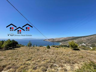 Οικόπεδο 2.500 τ.μ. για πώληση, Εύβοια, Στύρα-thumb-14