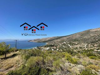 Οικόπεδο 2.500 τ.μ. για πώληση, Εύβοια, Στύρα-thumb-10