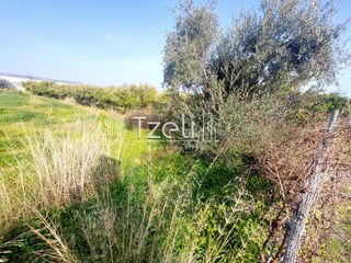 Οικόπεδο 6.000 τ.μ. για ενοικίαση, Αχαΐα, Πάτρα-thumb-2