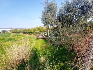Οικόπεδο 6.000 τ.μ. για ενοικίαση, Αχαΐα, Πάτρα-thumb-12