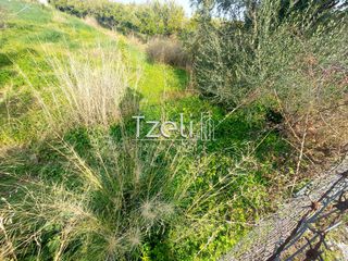 Οικόπεδο 6.000 τ.μ. για ενοικίαση, Αχαΐα, Πάτρα-thumb-13