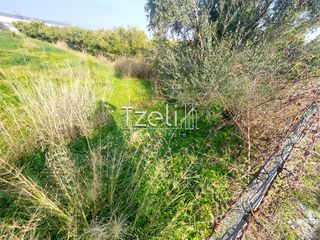 Οικόπεδο 6.000 τ.μ. για ενοικίαση, Αχαΐα, Πάτρα-thumb-5