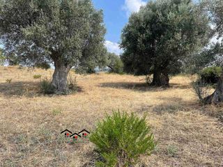Οικόπεδο 2.000 τ.μ. για πώληση, Εύβοια, Στύρα-thumb-3