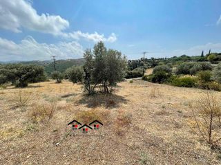 Οικόπεδο 2.000 τ.μ. για πώληση, Εύβοια, Στύρα-thumb-9