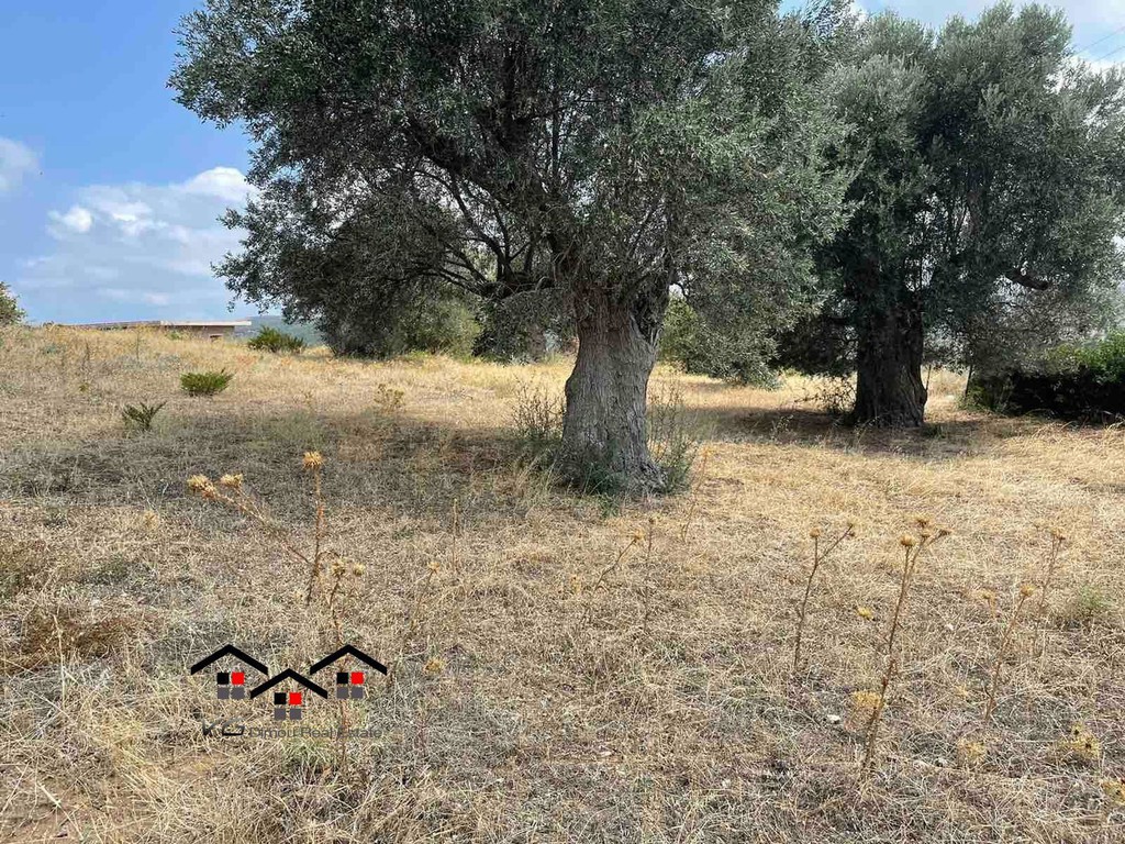 Οικόπεδο 2.000 τ.μ. προς πώληση, Μεσοχώρια