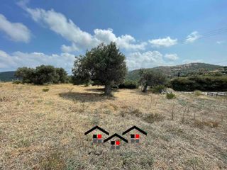 Οικόπεδο 2.000 τ.μ. για πώληση, Εύβοια, Στύρα-thumb-5