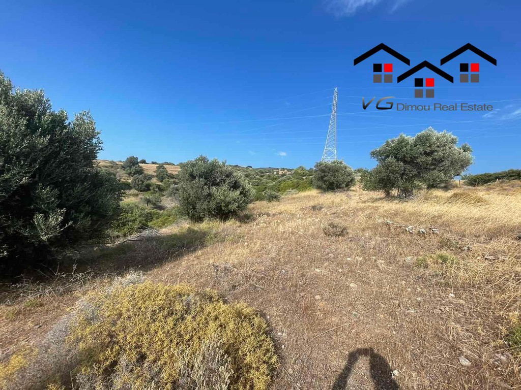 Αγροτεμάχια 8.000 τ.μ. προς πώληση, Νέα Στύρα