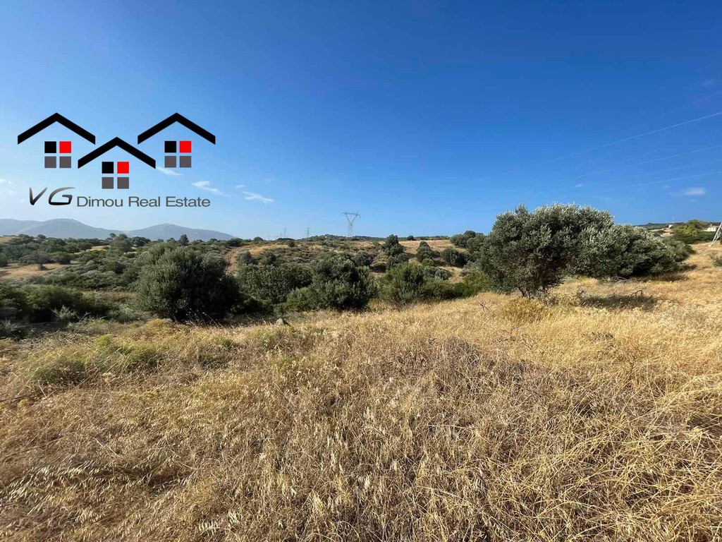 Αγροτεμάχια 8.000 τ.μ. προς πώληση, Νέα Στύρα