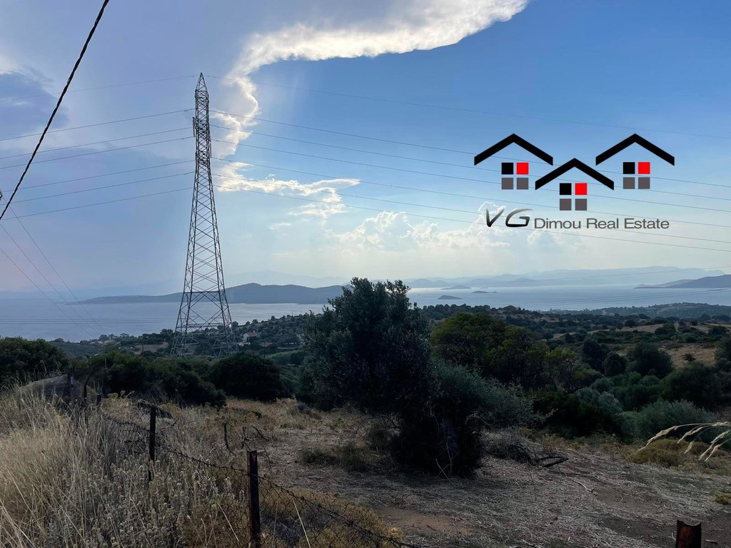 Αγροτεμάχια 8.000 τ.μ. προς πώληση, Νέα Στύρα
