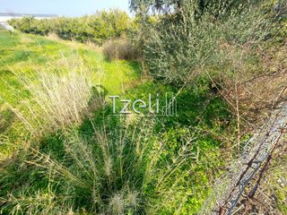 Οικόπεδο 3.000 τ.μ. για ενοικίαση, Αχαΐα, Πάτρα-thumb-25