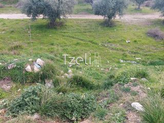 Οικόπεδο 2.150 τ.μ. για ενοικίαση, Αχαΐα, Πάτρα-thumb-27