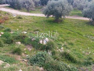 Οικόπεδο 2.150 τ.μ. για ενοικίαση, Αχαΐα, Πάτρα-thumb-28