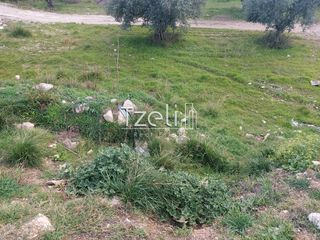 Οικόπεδο 2.150 τ.μ. για ενοικίαση, Αχαΐα, Πάτρα-thumb-11