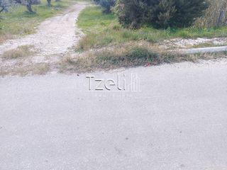 Οικόπεδο 2.150 τ.μ. για ενοικίαση, Αχαΐα, Πάτρα-thumb-5