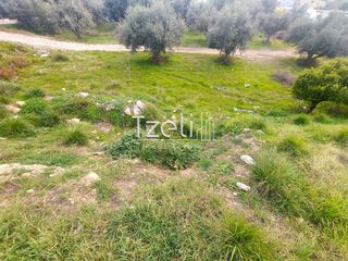 Οικόπεδο 2.150 τ.μ. για ενοικίαση, Αχαΐα, Πάτρα-thumb-7