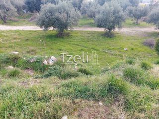 Οικόπεδο 2.150 τ.μ. για ενοικίαση