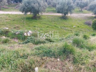 Οικόπεδο 2.150 τ.μ. για ενοικίαση, Αχαΐα, Πάτρα-thumb-9