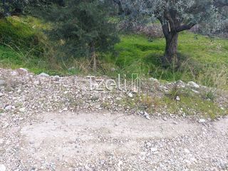 Οικόπεδο 2.150 τ.μ. για ενοικίαση, Αχαΐα, Πάτρα-thumb-3