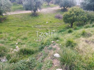 Οικόπεδο 2.150 τ.μ. για ενοικίαση, Αχαΐα, Πάτρα-thumb-23