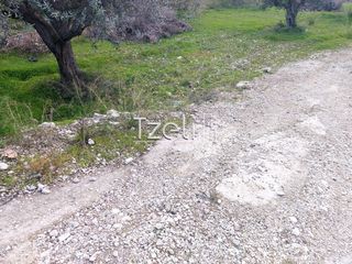 Οικόπεδο 2.150 τ.μ. για ενοικίαση, Αχαΐα, Πάτρα-thumb-8