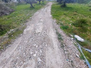 Οικόπεδο 2.150 τ.μ. για ενοικίαση, Αχαΐα, Πάτρα-thumb-15