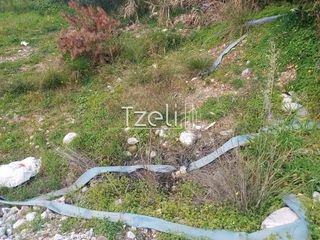Οικόπεδο 2.150 τ.μ. για ενοικίαση, Αχαΐα, Πάτρα-thumb-13