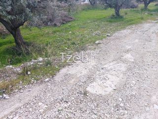 Οικόπεδο 2.150 τ.μ. για ενοικίαση, Αχαΐα, Πάτρα-thumb-22