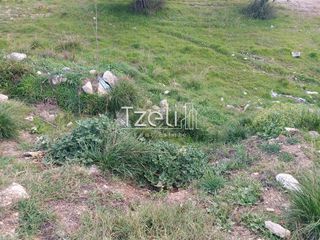Οικόπεδο 2.150 τ.μ. για ενοικίαση, Αχαΐα, Πάτρα-thumb-17