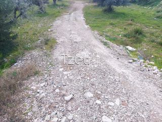 Οικόπεδο 2.150 τ.μ. για ενοικίαση, Αχαΐα, Πάτρα-thumb-1