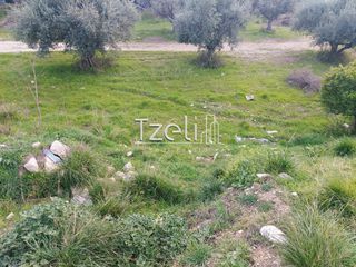 Οικόπεδο 2.150 τ.μ. για ενοικίαση, Αχαΐα, Πάτρα-thumb-25