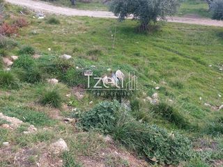 Οικόπεδο 2.150 τ.μ. για ενοικίαση, Αχαΐα, Πάτρα-thumb-4