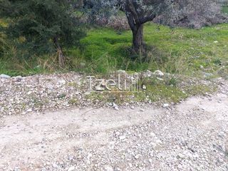 Οικόπεδο 2.150 τ.μ. για ενοικίαση, Αχαΐα, Πάτρα-thumb-24