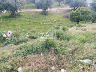 Οικόπεδο 2.150 τ.μ. για ενοικίαση, Αχαΐα, Πάτρα-thumb-6