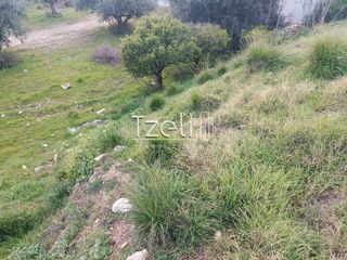 Οικόπεδο 2.150 τ.μ. για ενοικίαση, Αχαΐα, Πάτρα-thumb-16