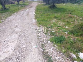 Οικόπεδο 2.150 τ.μ. για ενοικίαση, Αχαΐα, Πάτρα-thumb-29