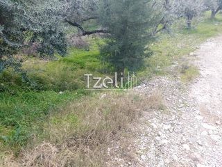 Οικόπεδο 2.150 τ.μ. για ενοικίαση, Αχαΐα, Πάτρα-thumb-10