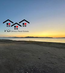 Αγροτεμάχια 4.600 τ.μ. για πώληση