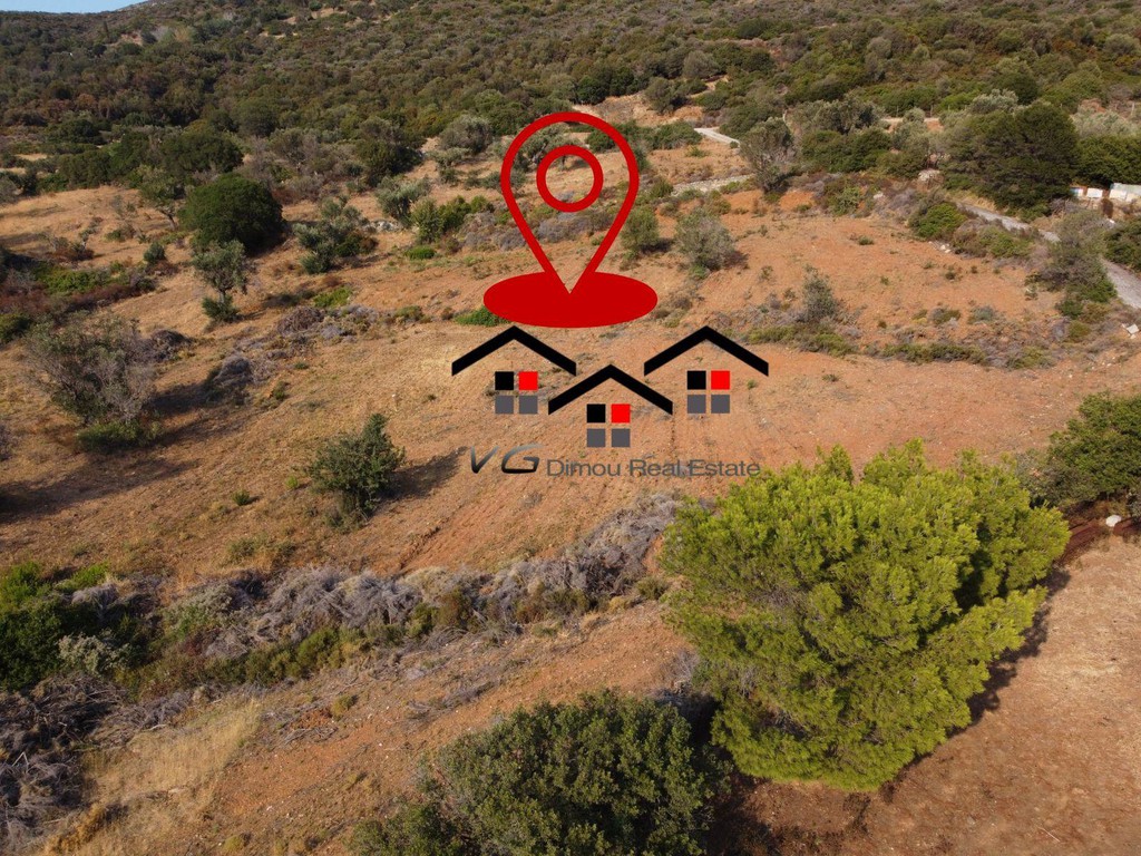 Αγροτεμάχια 10.300 τ.μ. προς πώληση, Κέντρο Στύρων