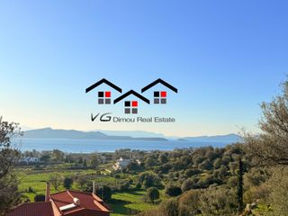 Αγροτεμάχια 4.530 τ.μ. για πώληση, Εύβοια, Στύρα-thumb-17