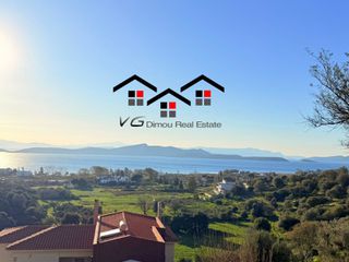 Αγροτεμάχια 4.530 τ.μ. για πώληση