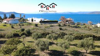 Μονοκατοικία 250 τ.μ. για πώληση, Εύβοια, Στύρα-thumb-20