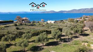 Μονοκατοικία 250 τ.μ. για πώληση, Εύβοια, Στύρα-thumb-21