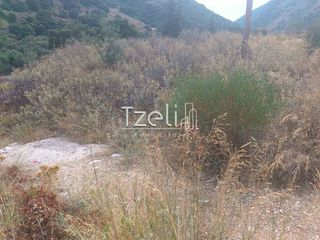 Οικόπεδο 1.500 τ.μ. για ενοικίαση
