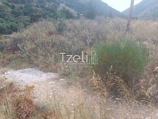 Οικόπεδο 1.500 τ.μ. για ενοικίαση, Αχαΐα, Αίγιο-thumb-8