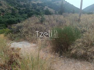 Οικόπεδο 1.500 τ.μ. για ενοικίαση, Αχαΐα, Αίγιο-thumb-2