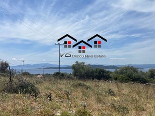 Αγροτεμάχια 4.257 τ.μ. για πώληση, Εύβοια, Στύρα-thumb-7