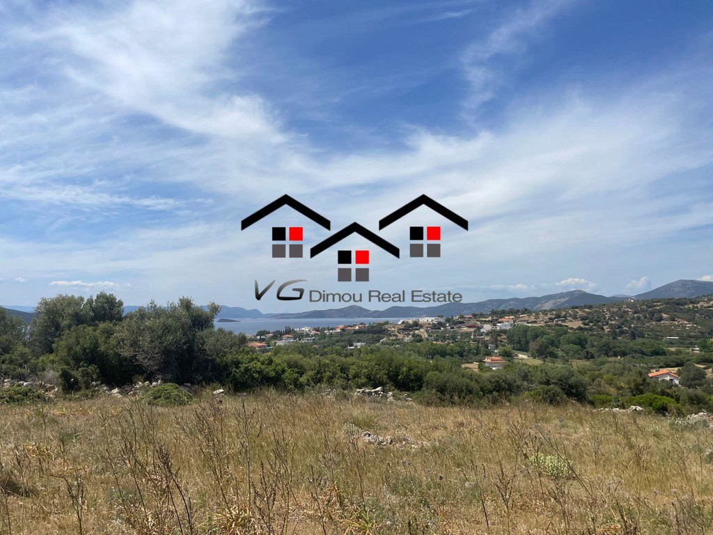 Αγροτεμάχια 4.257 τ.μ. προς πώληση, Λεύκα Στύρων