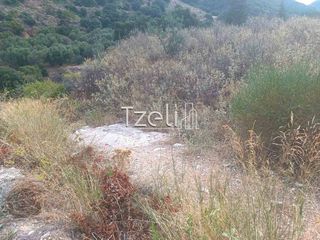 Οικόπεδο 2.500 τ.μ. για ενοικίαση, Αχαΐα, Αίγιο-thumb-3